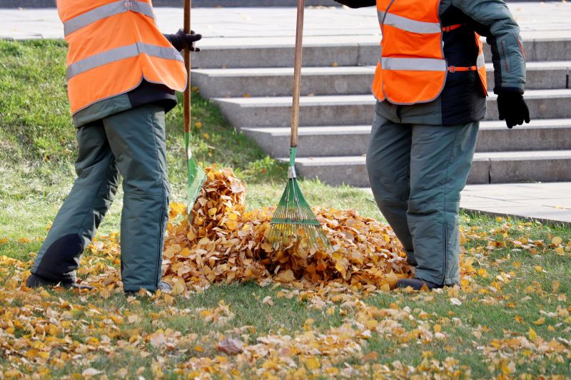 Leaf Removal at Work