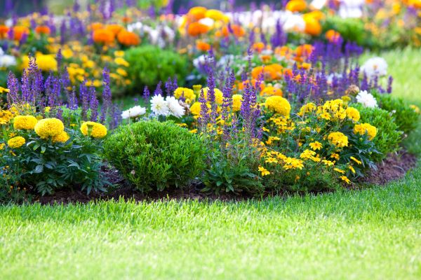 Flower Bed Maintenance in Carson City