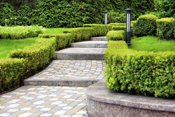 Backyard Remodeling in Carson City