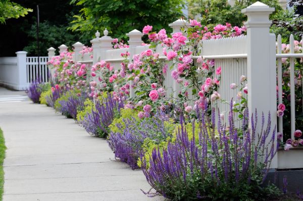 Garden Handyman Service in Carson City