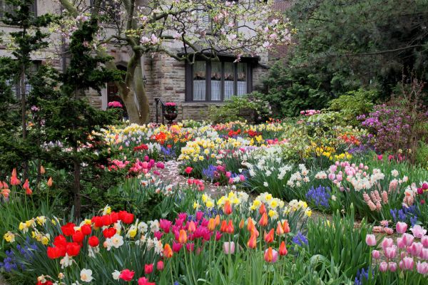 Garden Maintenance Service in Carson City