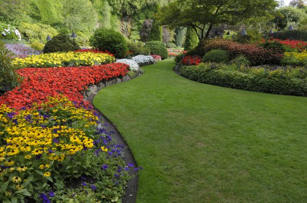 Landscaping Maintenance in Carson City
