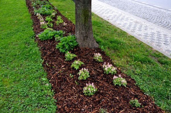 Mulch Replacement Service in Carson City
