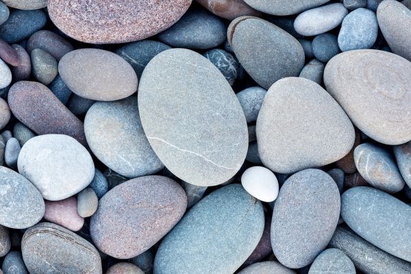 River Rock Delivery in Carson City