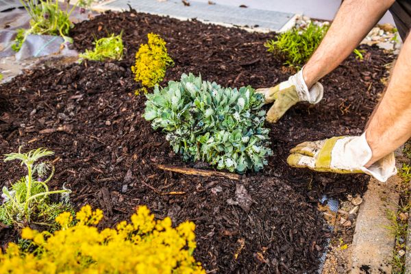 Weeding And Mulching in Carson City