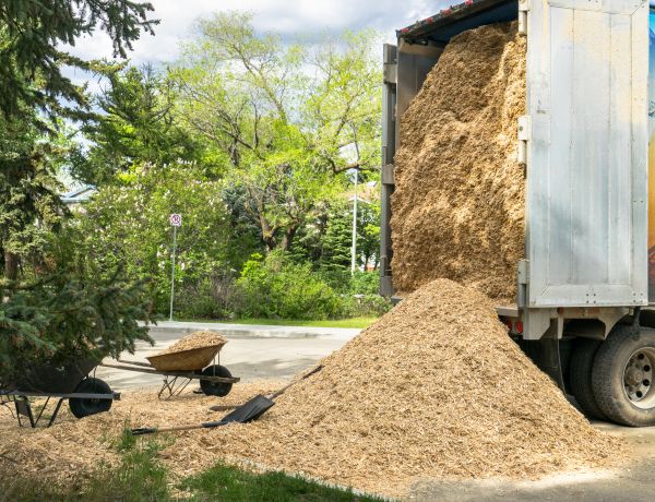 Wood Chips Delivery in Carson City