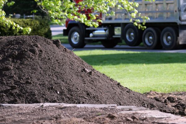 Yard Dirt Delivery in Carson City