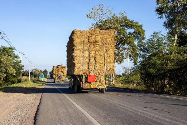 Pine Straw Delivery in Carson City