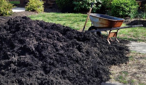 Black Mulch Delivery in Carson City