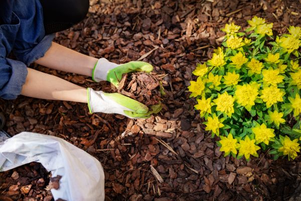 Garden Mulching in Carson City