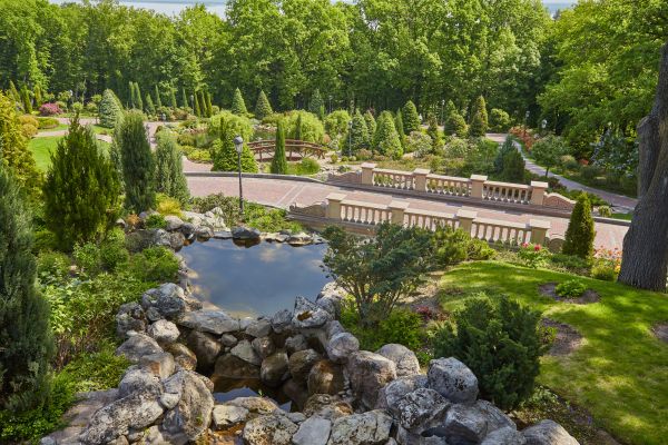 Landscape Architecture Service in Carson City