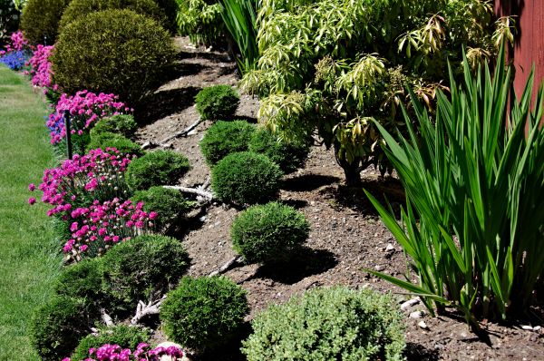 Residential Gardening in Carson City