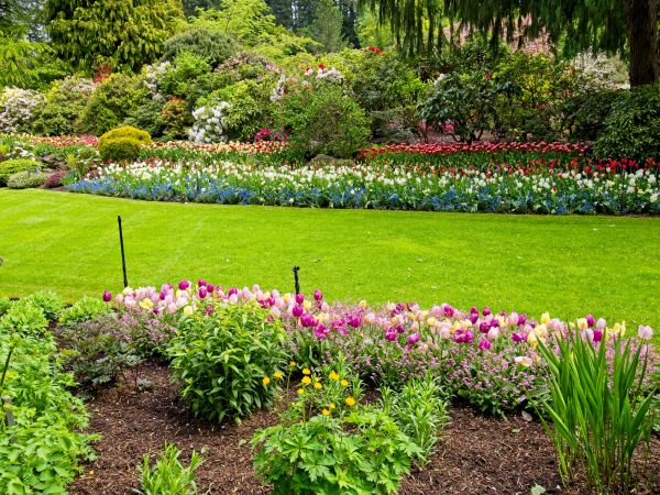 Residential Landscape Design in Carson City