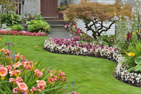 Perennial Landscaping in Carson City