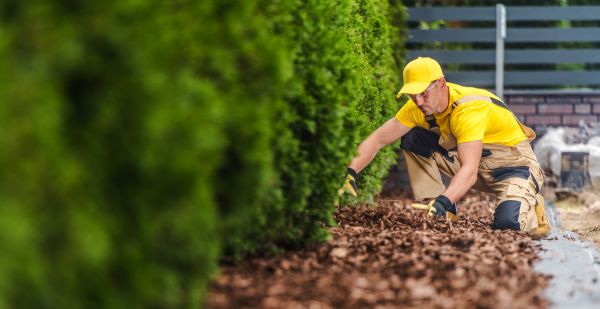 Cypress Mulch Installation in Carson City
