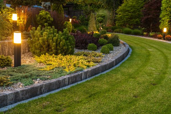 Garden Repair Service in Carson City