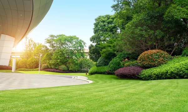 Business Landscape Design in Carson City