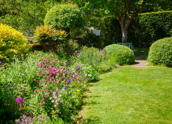 Yard Landscaping Service in Carson City