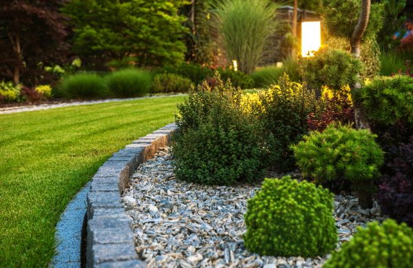 Landscaping Service in Carson City