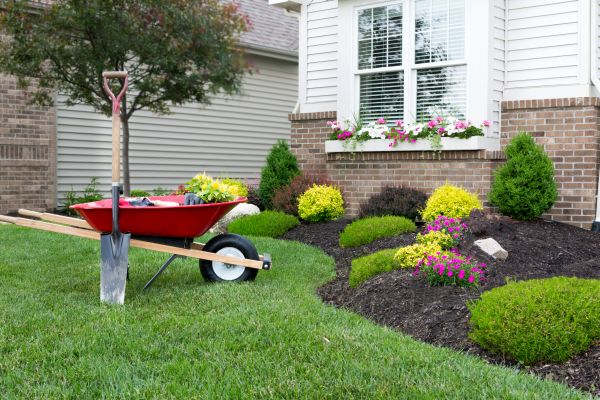 Tree And Shrub Planting in Carson City