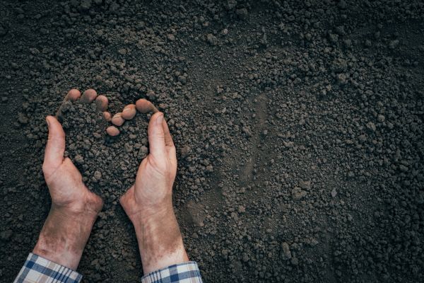 Soil Installation in Carson City