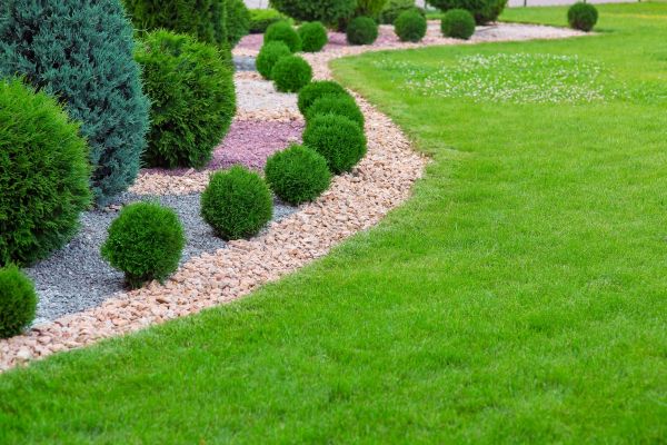 Edging Stones Installation in Carson City