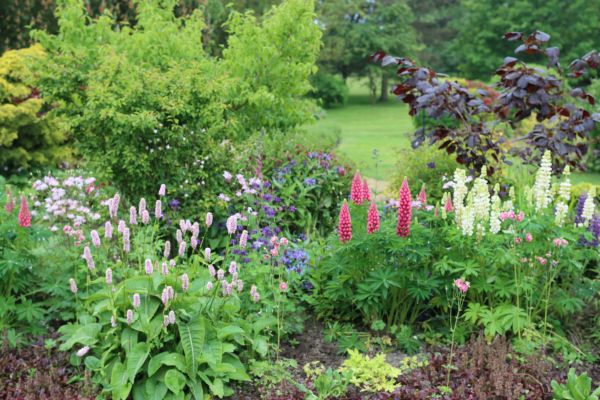Flower Bed Planting in Carson City