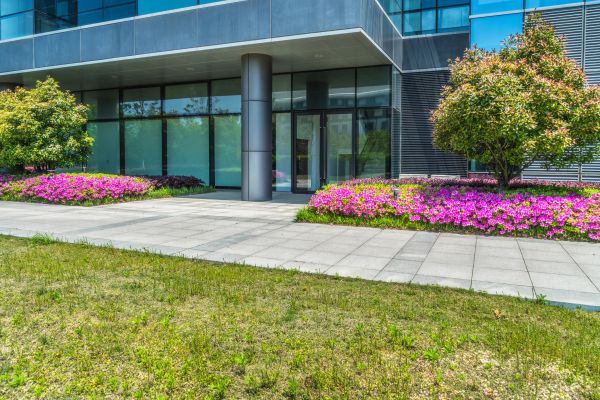 Commercial Gardening in Carson City