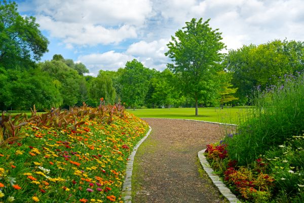 Park Landscaping in Carson City