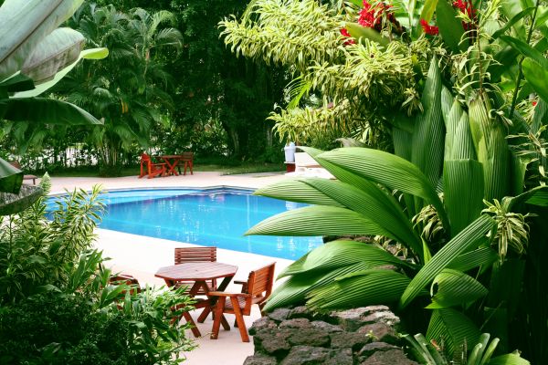 Tropical Garden Landscaping in Carson City