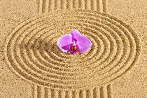 Sand Garden Landscaping in Carson City