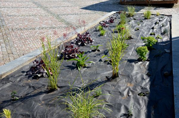 Landscape Fabric Installation in Carson City