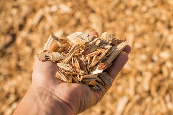 Wood Chips Spreading in Carson City