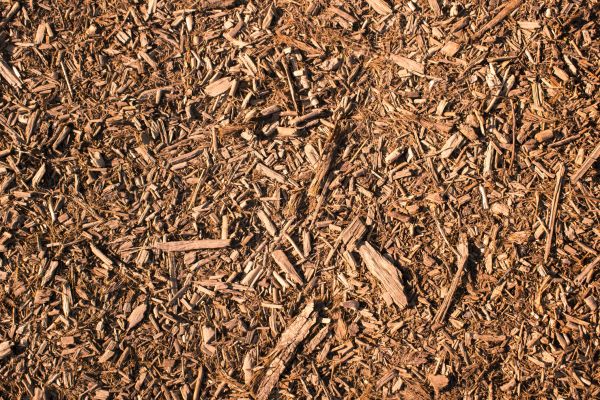 Wood Chips Removal in Carson City