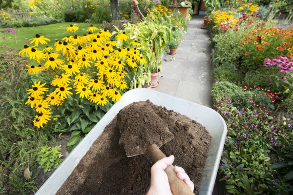 Topsoil Replacement in Carson City