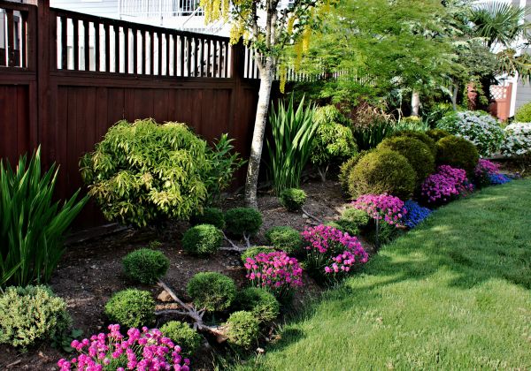 Garden Bed Construction in Carson City