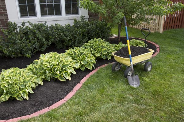 Landscape Mulching in Carson City