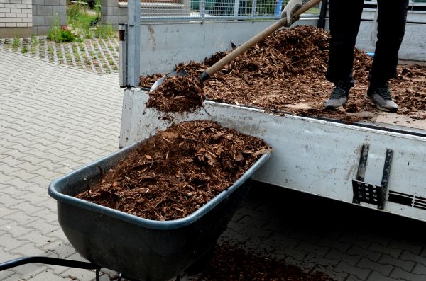 Playground Mulch Delivery in Carson City