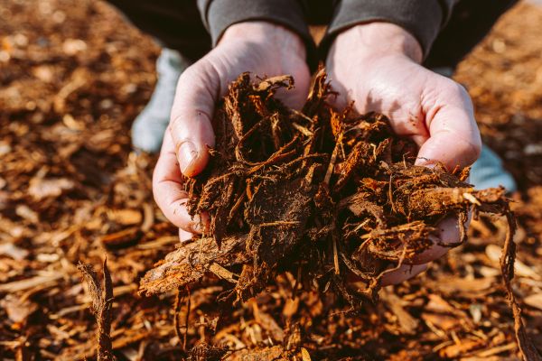 Bark Chips Delivery in Carson City