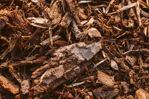 Bark Mulch Delivery in Carson City