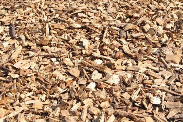 Wood Mulch Delivery in Carson City