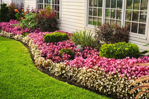 House Landscaping in Carson City