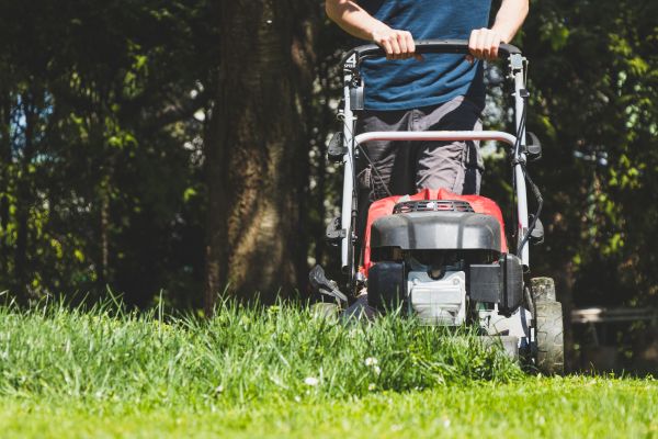 Garden Trimming Service in Carson City