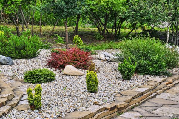 Hardscape Landscaping in Carson City