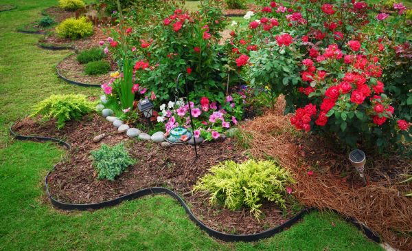Floral Landscaping in Carson City