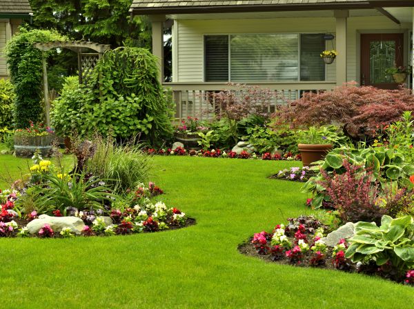 Flower Garden Planting in Carson City