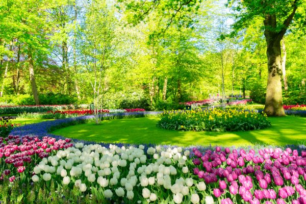 Flower Landscaping in Carson City