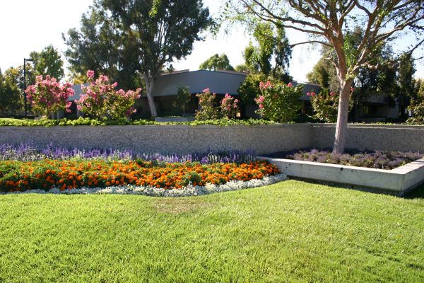 Commercial Landscape Service in Carson City