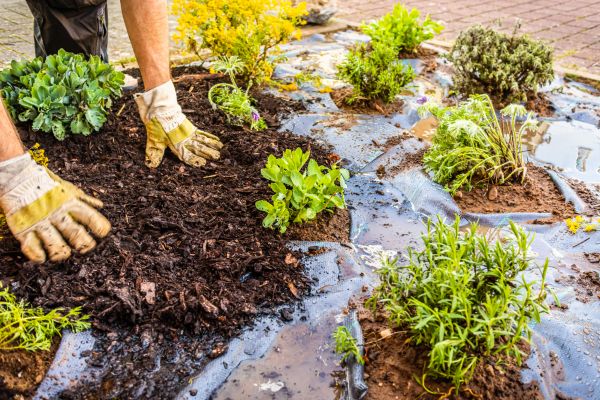 Mulch Fabric Installation in Carson City