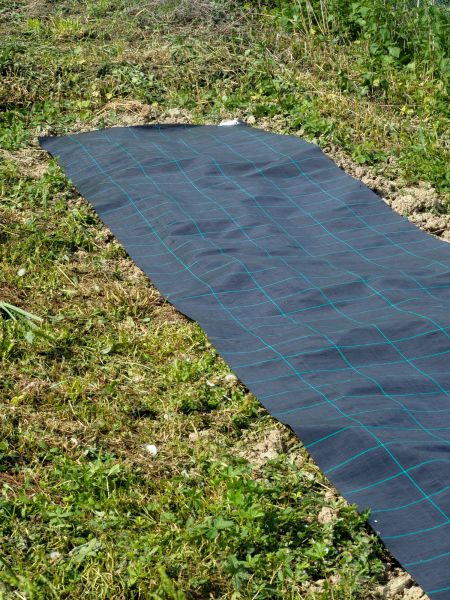 Weed Suppressant Installation in Carson City